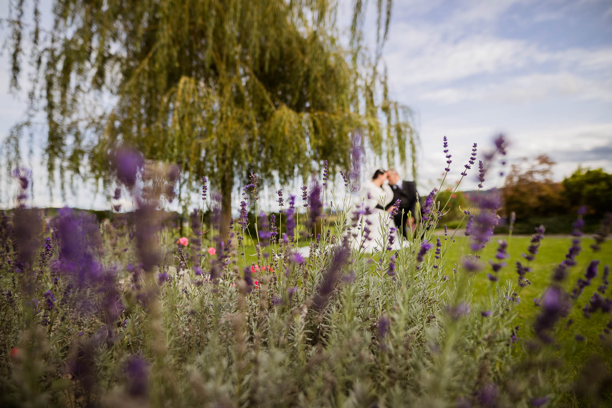 Export x3 1DX28698 Hochzeit 2020 Claudia & Thomas